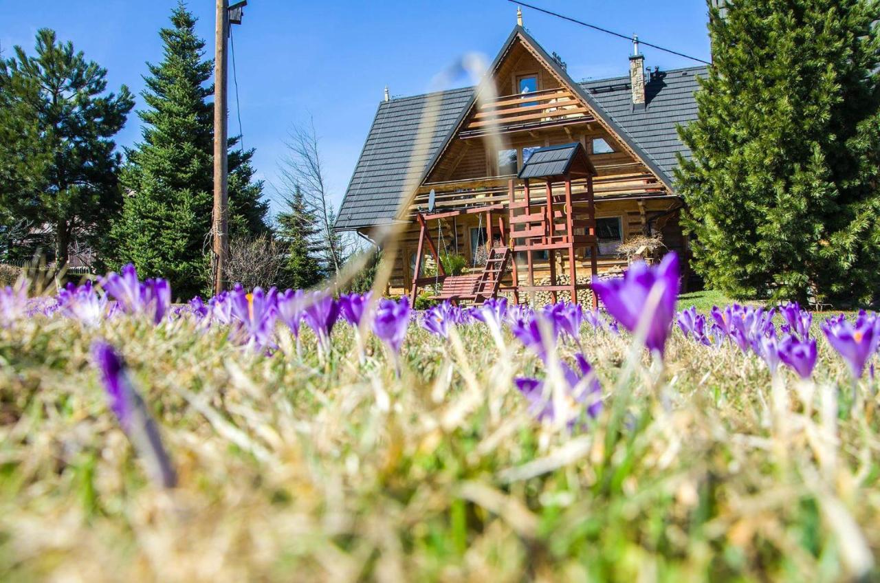 Willa Koisowka Zakopane Exterior foto