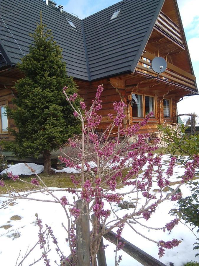 Willa Koisowka Zakopane Exterior foto